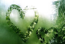 28圈：欧冠-迪亚斯帽子戏法 利物浦主场大胜勒沃库森.