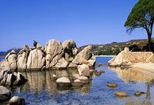 国际系列赛澳门站奥尔蒂斯夺冠 瑞德亚军吴阿顺T26 17：.